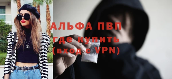 стаф Баксан