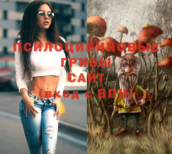 стаф Баксан